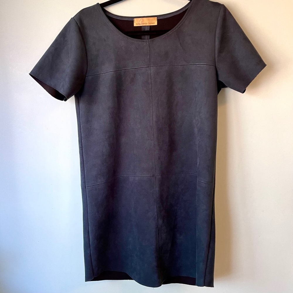 Lizard Thicket Slate Blue Suede Mini Dress